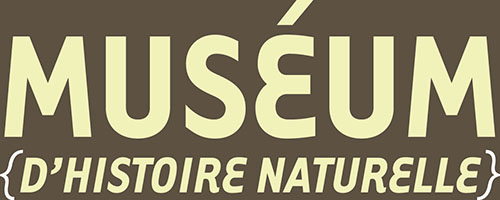 logo museum