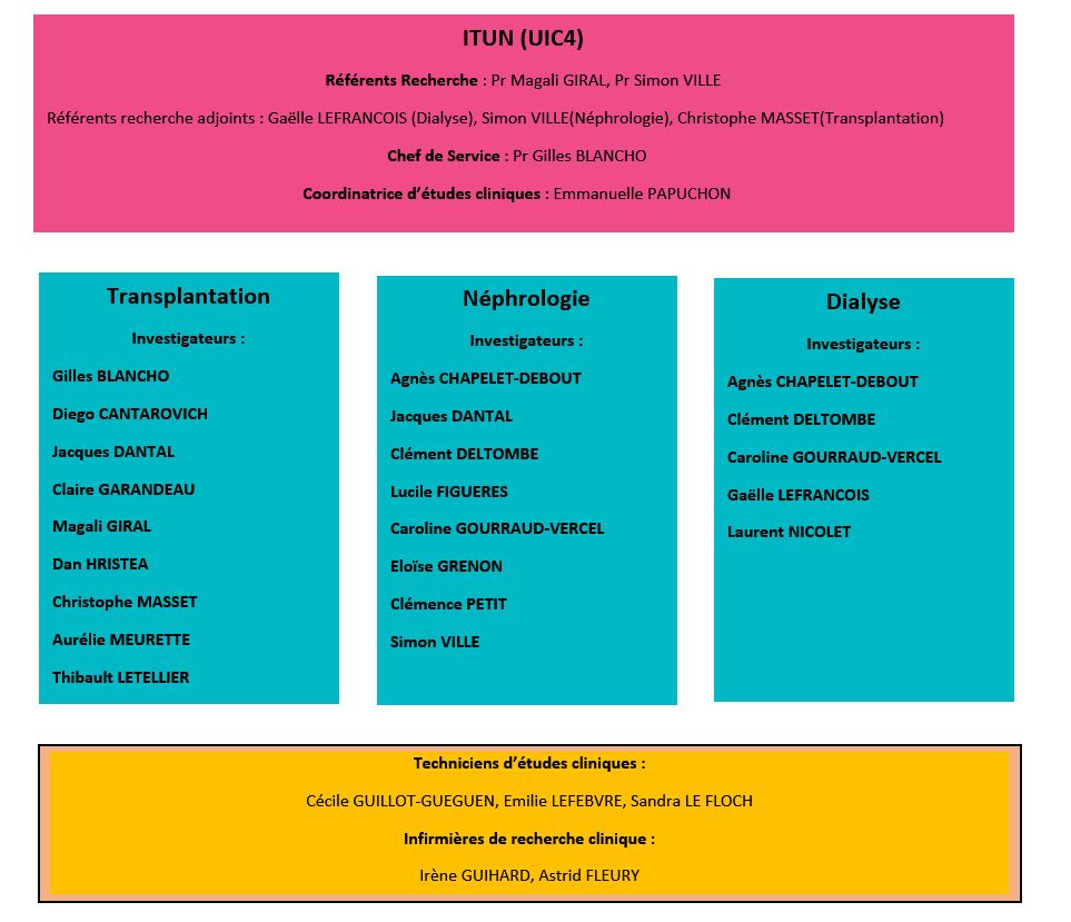 organigramme rc clinique