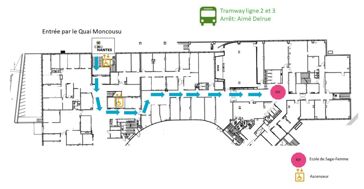 plan ESF