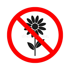 Fleur