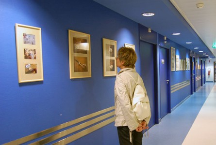L'exposition permanente d'art postal, don de l'association Artéchéri au CHU de Nantes - visible au 4e étage aile nord de l'hôtel-Dieu